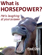 Ask this question and most of the time you'll get a blank look, a shrug of the shoulders and maybe a guess along the lines of ''What a horse can do''.